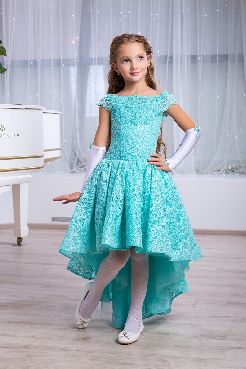 Navy Lace Girl Dress Long Sleeve Flower Girl Dress Baby Girls Long Sleeve Navy Dress Girl Lace Dress Long Sleeve Flower Girl Dress