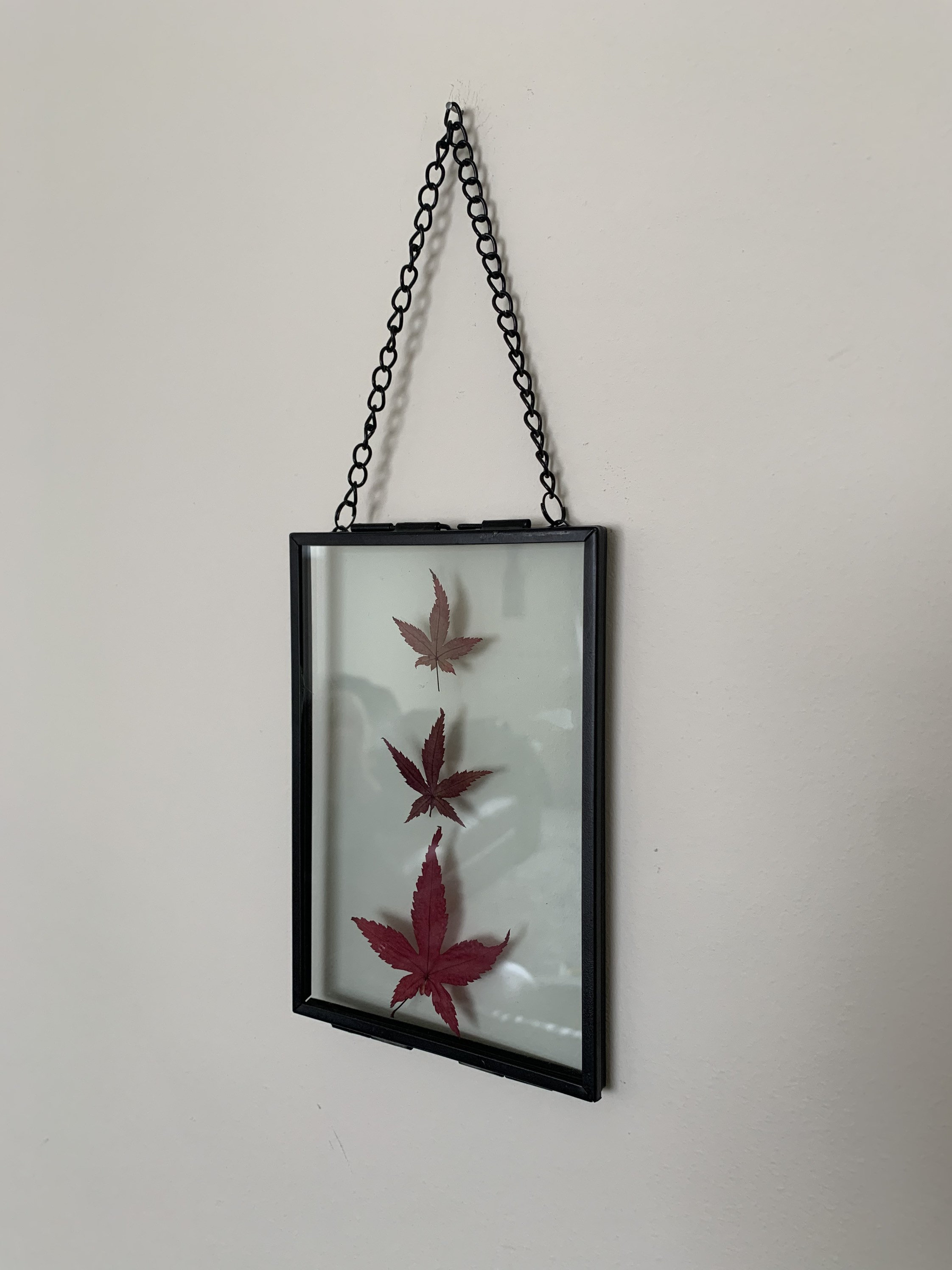 Pressed maple leaf frame glass frame pressed flower frame Etsy