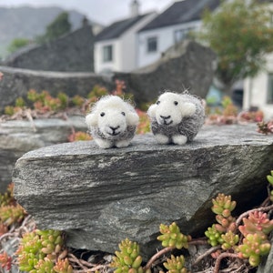 Herdwick sheep - real herdwick wool  - sheep - needle felt sculpture - art - fibre art - desk buddy