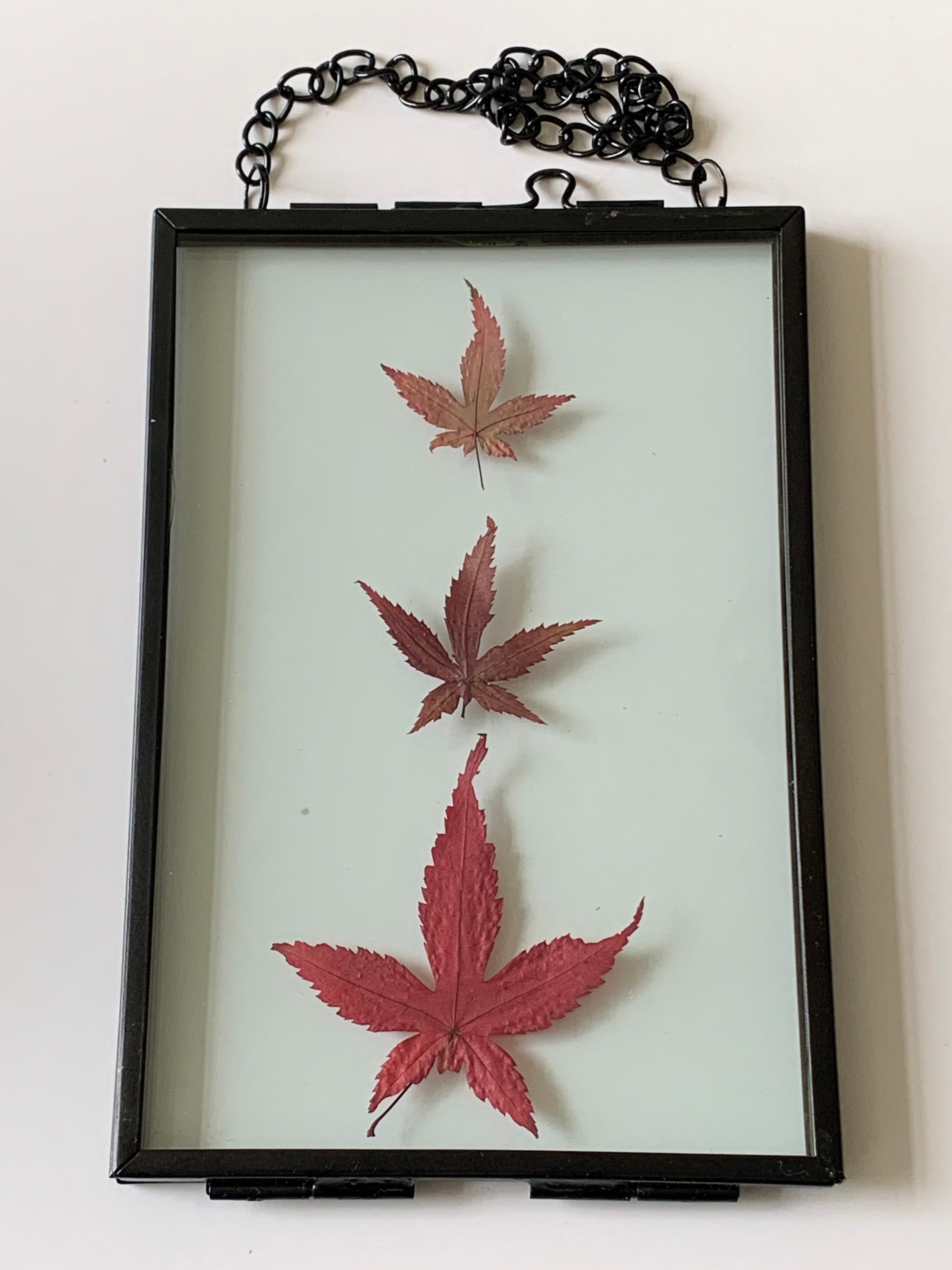 Pressed maple leaf frame glass frame pressed flower frame Etsy