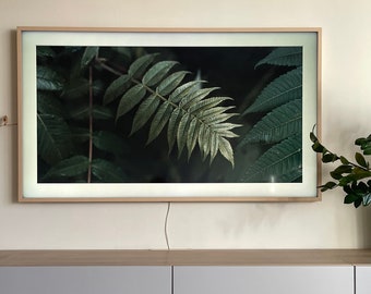 Samsung The Frame Tv Art Green Leaves Art for Samsung Frame TV Art for Frame Art TV Art Frame Tv, Samsung Art Frame Digital Art Frame Tv