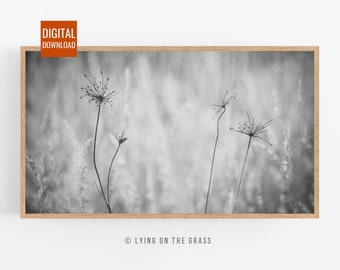 Samsung Frame Tv Art Black and White Delicate plants in the meadow Peaceful calming minimalist nature abstract B&W photos Digital downloads