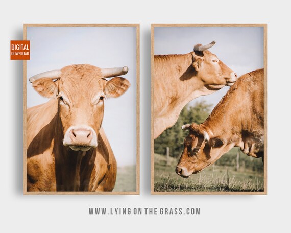 Set of 2 Printable Cows Rural Farmhouse Prints Digital | Etsy