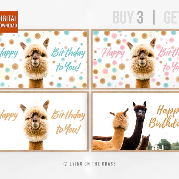 Set of 4 | Happy Birthday Llamas Alpaca Photos Samsung Frame Tv Art Holiday Quote Cute animals Funny colorful banner for girl boy family set