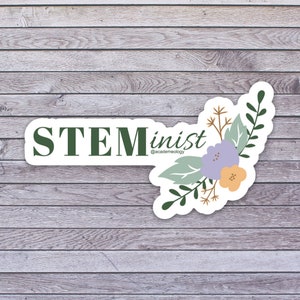 STEMinist sticker