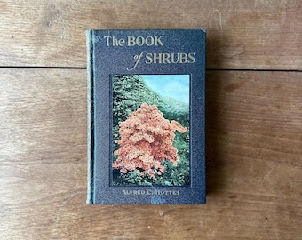 1928 The Book of Shrubs by Alfred C. Hottes