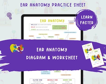 Struktur des Ohrdiagramms und Arbeitsblatts | Anatomie-Studiennotizen | Biologische Notizen | Pflegenotizen | Anmerkungen zur Anatomie und Physiologie