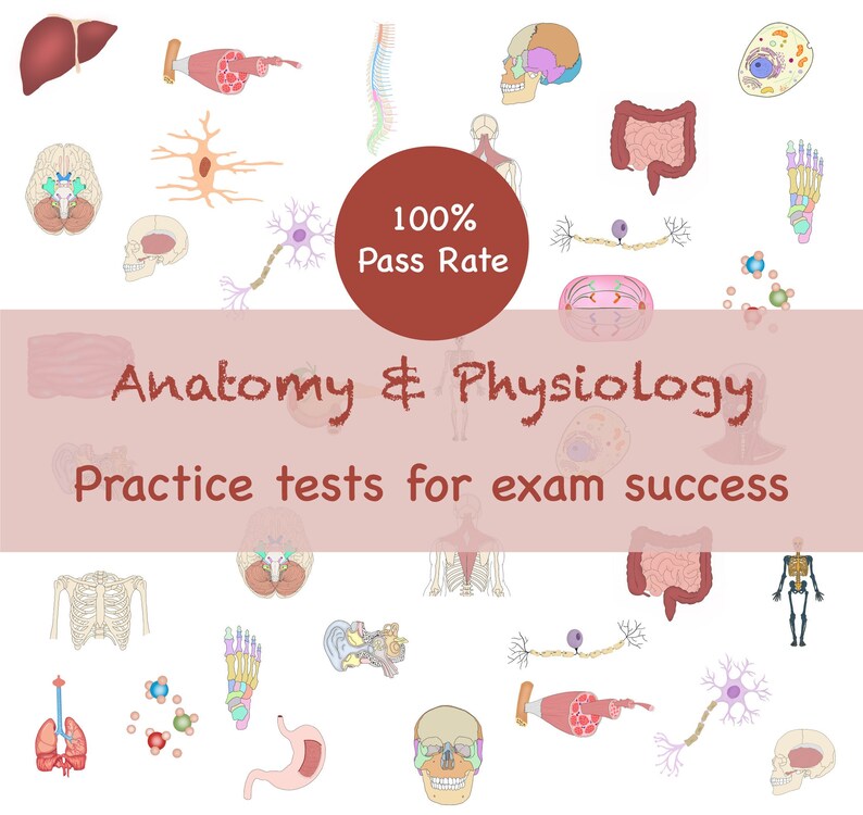 Anatomy and Physiology Practice Tests Human Anatomy 6,000 Practice Test