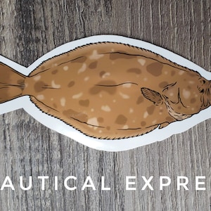 May include: A sticker depicting a flatfish illustration, with a brown and tan mottled pattern. The fish is outlined in black against a white background. The text "NAUTICAL EXPRESS" is printed in white below the fish.
