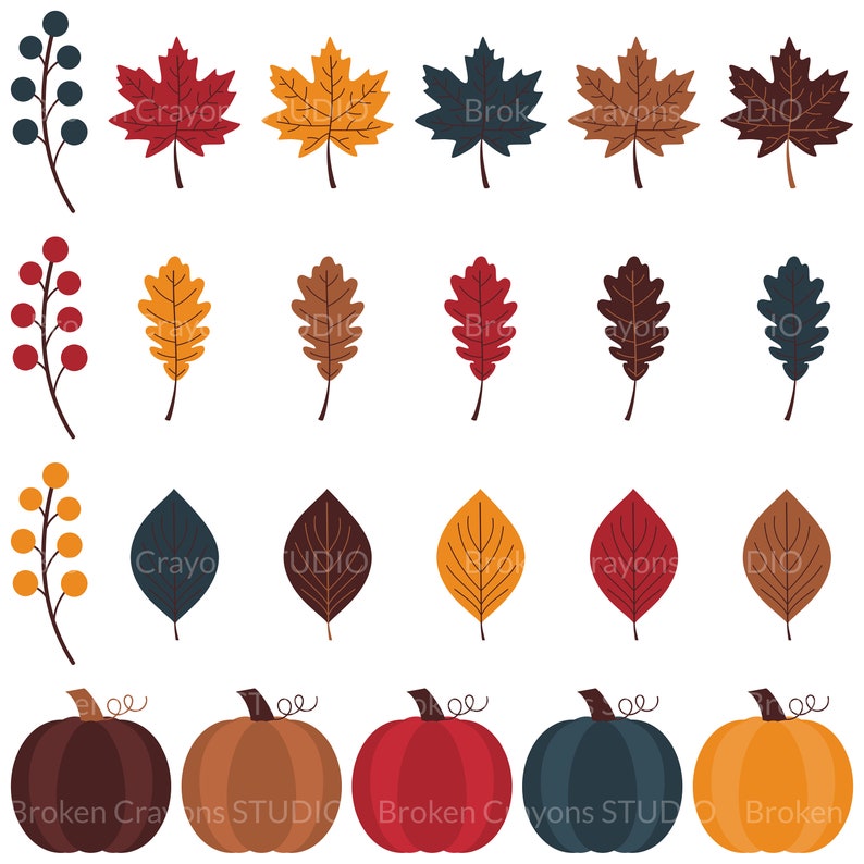 Pumpkin Clipart Floral Clipart Autumn Clipart Commercial Use Berries Clipart Fall Clipart Leaves Clipart Thanksgiving Clipart