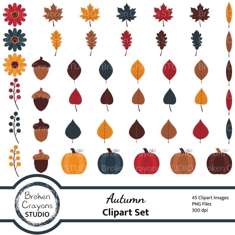 Pumpkin Clipart Floral Clipart Autumn Clipart Commercial Use Berries Clipart Fall Clipart Leaves Clipart Thanksgiving Clipart