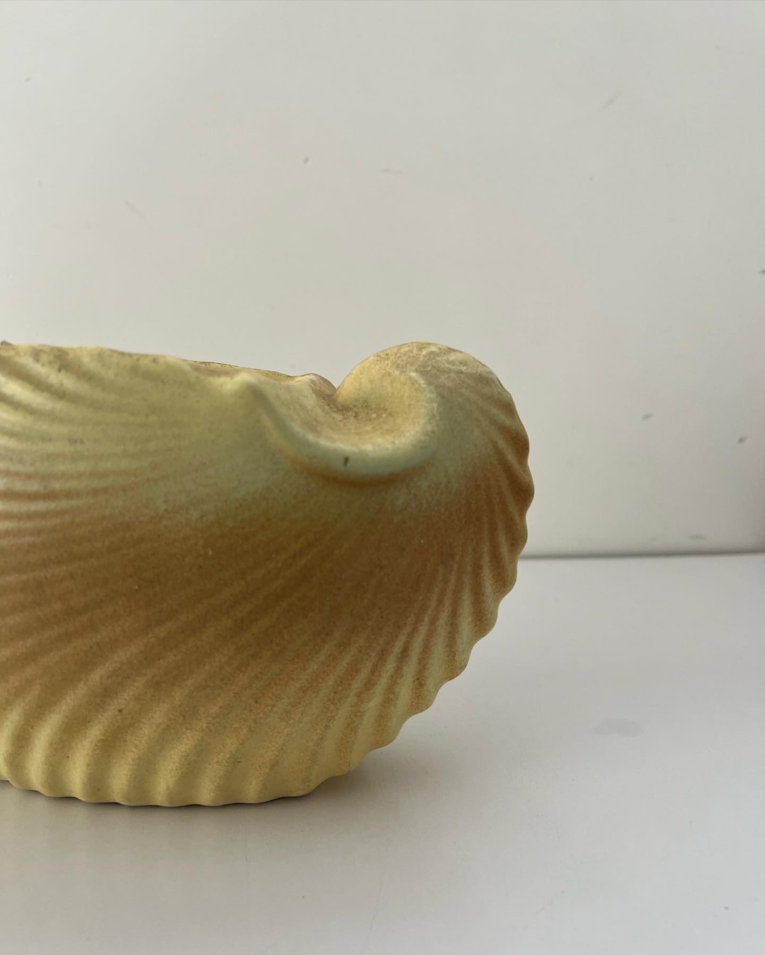 Vintage Ceramic Shell Planter / Vase Etsy Australia