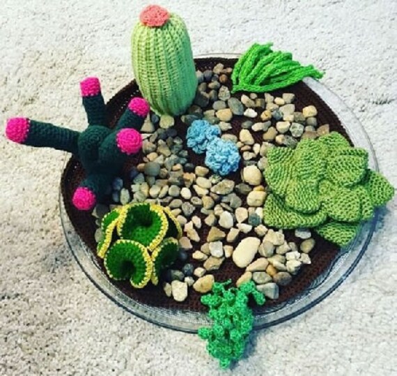 Cactus Terrarium In Crochet Etsy