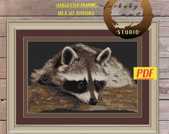 Raccoon Cross Stitch Pattern, XStitch PDF Pattern Download,  How To Cross-Stitch Instructions Included with Chart
