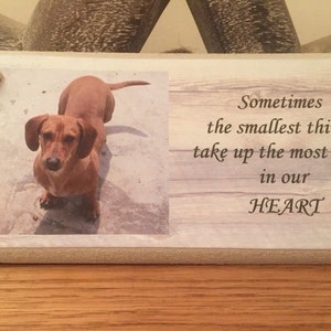 Targa personalizzata. Personalizzabile con qualsiasi foto e testo. Un regalo adorabile per gli amanti degli animali. Cane, gatto, cavallo, animale domestico.