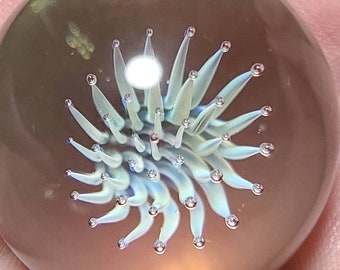 May include: A clear glass marble with a white and blue swirling design inside. The design resembles a flower or a sea anemone.