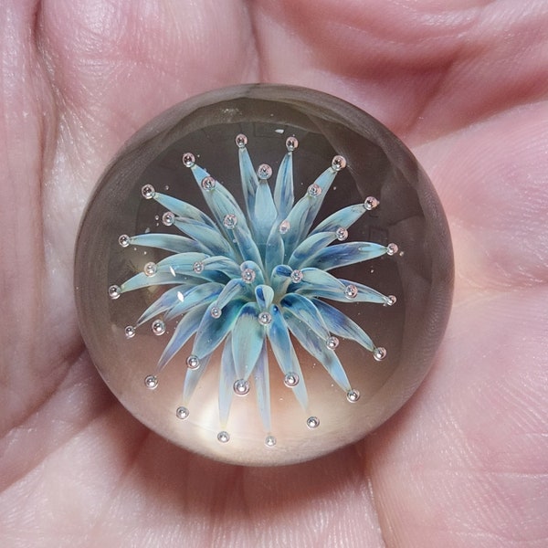 Glass Marble, Hand Blown Glass, Air Implosion Marble, Handmade Art Glass, Anemone Marble, 32 mm, Blue Marble