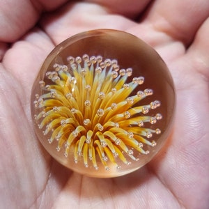 Op de afbeelding: Een transparante glazen brievengewicht met een geel en wit bloemvormig ontwerp erin. De bloem heeft veel kleine bubbels.