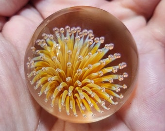 May include: A clear glass paperweight with a yellow and white flower-like design inside. The flower has many small bubbles.