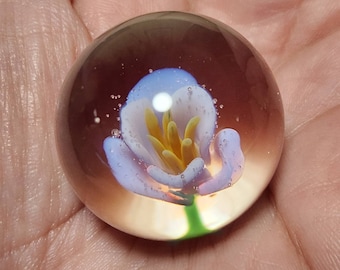 Peut inclure: Une bille de verre transparente contenant une fleur blanche avec des accents jaunes et violets.