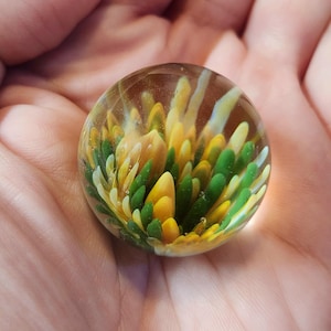 Peut inclure: Une bille de verre avec un motif tourbillonnant de verre jaune et vert à l'intérieur. La bille est transparente et les couleurs sont vives.