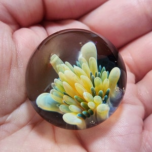 Peut inclure: Un presse-papier en verre avec un motif de fleur jaune, blanc et bleu. La fleur est enfermée dans du verre transparent et a un fond sombre.