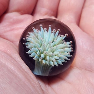 Peut inclure: Un presse-papier en verre avec un motif de fleur bleu et blanc à l'intérieur. La fleur est entourée de petites bulles d'air.