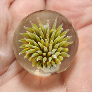 Blown Glass, Implosion Marble, Anemone Marble, Handmade Marble, Art Glass Marble, 32 mm