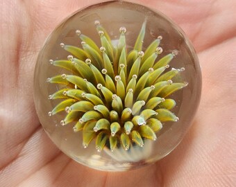 May include: A clear glass paperweight with a yellow and green flower design inside.