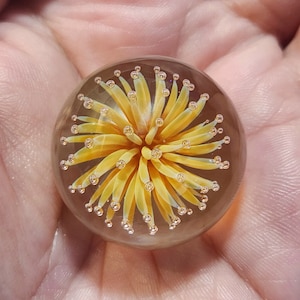 May include: A glass paperweight with a yellow flower design inside. The flower has a white center and is surrounded by small bubbles.