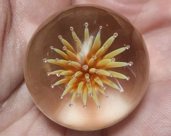 May include: A clear glass paperweight with a yellow and orange flower design inside.