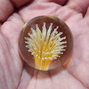Peut inclure: Une bille de verre transparente avec un motif floral jaune et blanc. La fleur a une apparence détaillée et superposée avec de petites bulles dans le verre. La bille est tenue dans une main.
