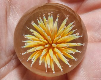 May include: A clear glass paperweight with a yellow and white flower design inside. The flower has a 3D effect and appears to be made of glass.