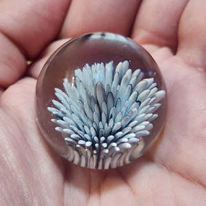 Puede incluir: Un pisapapeles de vidrio transparente con un diseño de flor blanca y azul en su interior. La flor está hecha de vidrio y tiene un efecto 3D.