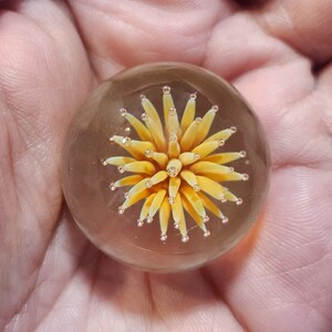 Peut inclure: Un presse-papier en verre transparent avec un motif de fleur jaune à l'intérieur. La fleur a un effet 3D et semble être en verre.