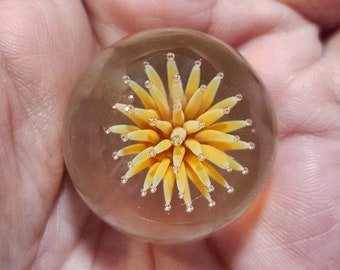 May include: A clear glass paperweight with a yellow flower design inside. The flower has a 3D effect and appears to be made of glass.