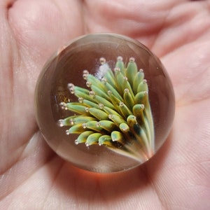 Blown Glass, Implosion Marble, Anemone Marble, Handmade Marble, Art Glass Marble, 32 mm, Green and Gold Glass Marble