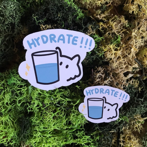 Hydrate reminder cute emotional support sticker glossy venyl