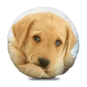 Op de afbeelding: Rond decoratief kussen met een gouden Labrador puppy. De puppy heeft lichtbruine vacht, donkere ogen en rust zijn hoofd op zijn poot. Het kussen is lichtcrème van kleur en heeft een zachte, pluche uitstraling.