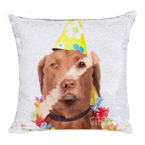 Könnte beinhalten: Ein quadratisches Kissen mit Pailletten, das einen braunen Hund mit Partyhut und Blumenkette zeigt. Der Hund steht im Mittelpunkt, vor einem weißen Hintergrund. Die Pailletten erzeugen einen schimmernden Effekt.