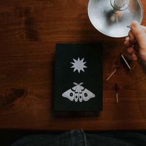 Moth to light postcard - dark academia postcard, naturalist postcard, black and white postcard