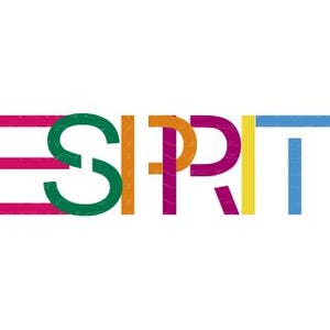 SVG PNG Digital Download Sublimation Esprit Old School Throw Back Logo Style Traditional Colors
