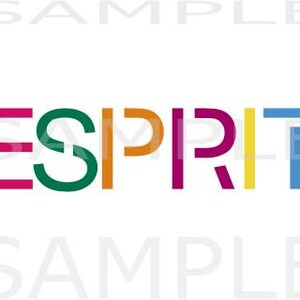 SVG PNG Digital Download Sublimation Esprit Old School Throw Back Logo Style Traditional Original image 2