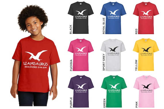 Personalised Kids Dinosaur T Shirt Printed with ANY NAME