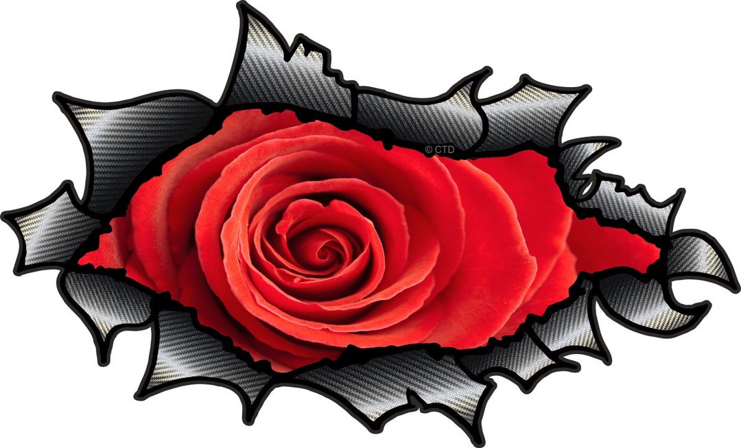 Icon Rose Rip Licensed Oval Ripped Torn Carbon Fibre Metal Rip Design With Beautiful ...