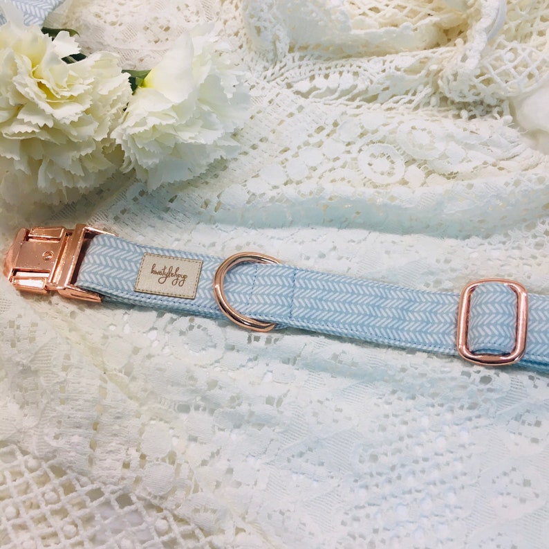 Blue dog collar blue herringbone boy dog collar cute puppy Etsy