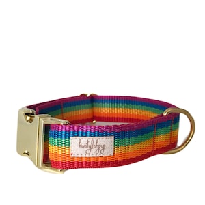 Rainbow dog collar, pride pet accessories, statement pet collar, multicolored, puppy collar, LGBTQ
