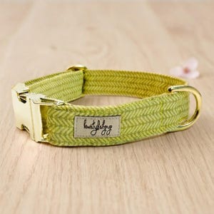 May include: A lime green pet collar featuring a woven herringbone pattern. The collar includes a gold-toned metal side-release buckle and a matching gold-toned D-ring. A rectangular fabric label is stitched to the front with the text kiwistylishpug.