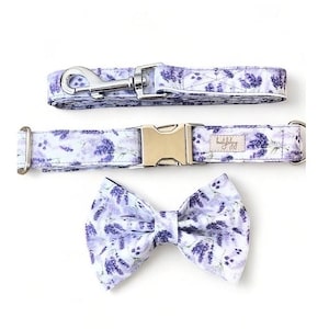 Purple dog collar and leash set, pet collar and lead set, girl dog collar, floral dog collar, dog collar matching lead, cute puppy collar