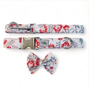Dog collar and leash set, pet collar and lead, girl dog collar, floral dog collar and leash, rowan berries collar, cute puppy collar,